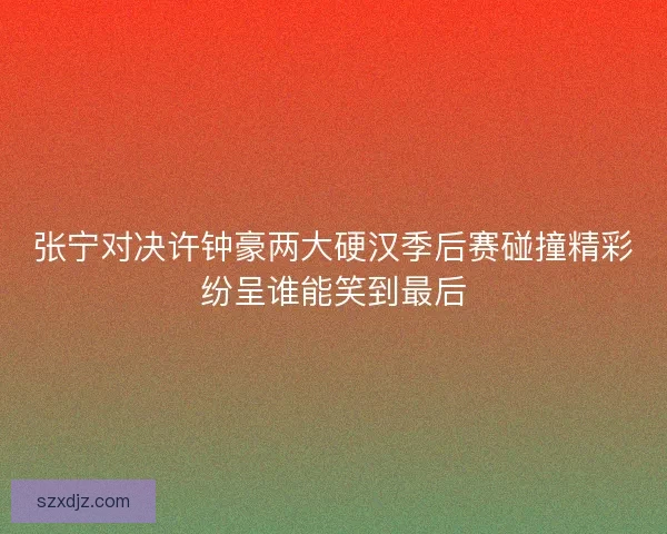张宁对决许钟豪两大硬汉季后赛碰撞精彩纷呈谁能笑到最后